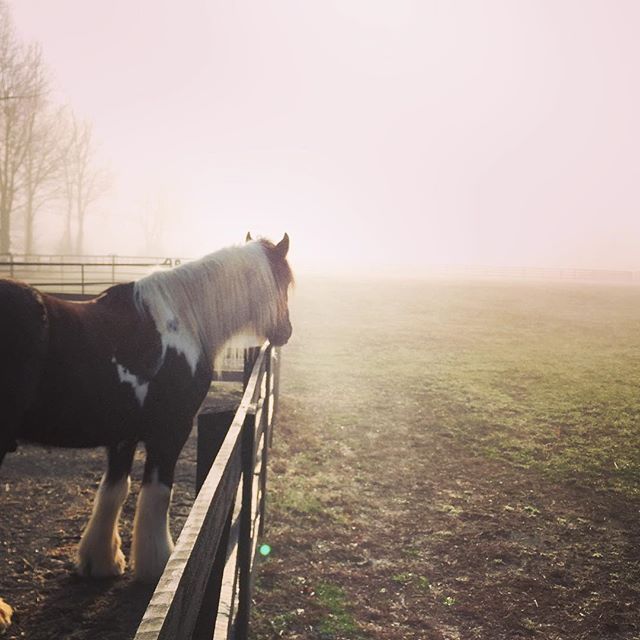 ...a long road home...