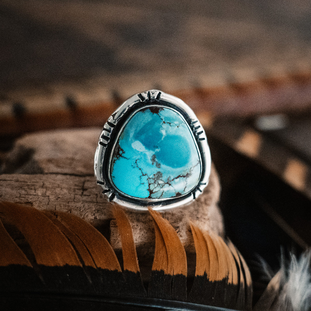 Ocean Oasis Bao Canyon Turquoise Ring - Size 6.5